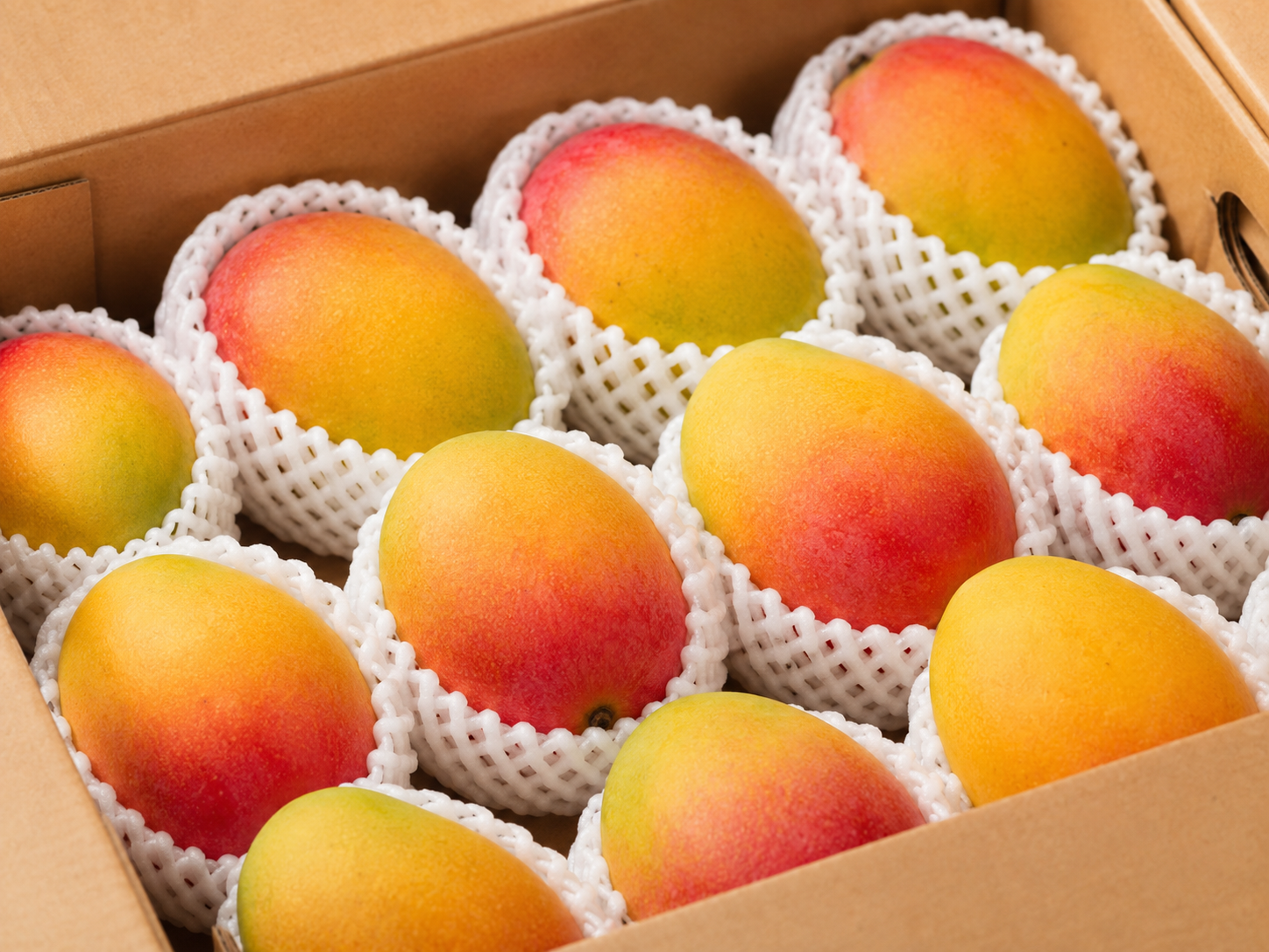 Fruit in foam net sleeves packed inside a plain cardboard export carton