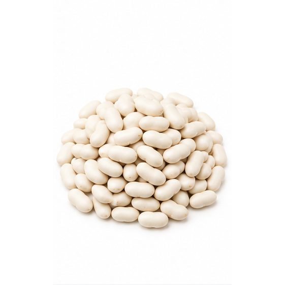 Egyptian dry white beans — export quality by PEIVANA