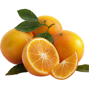 Egyptian oranges — export quality by PEIVANA