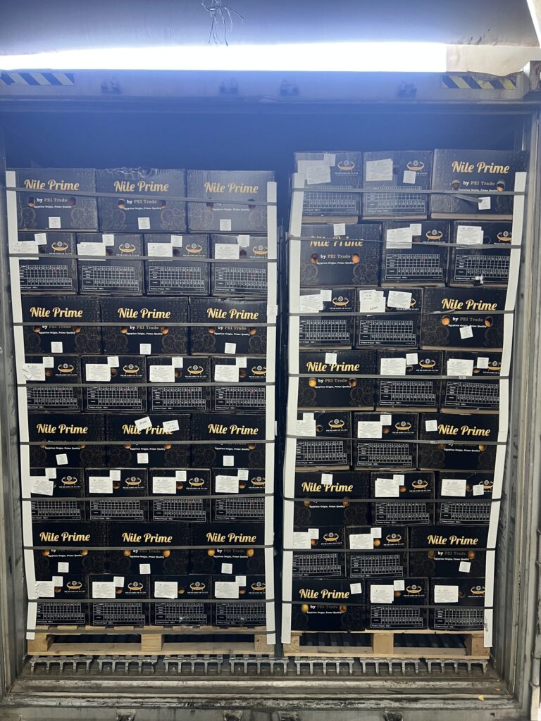 Palletized produce cartons in an Egyptian export warehouse ready for loading