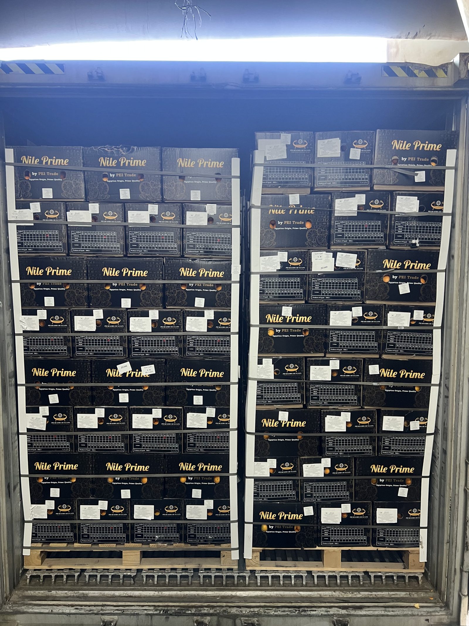 Palletised export cartons in an Egyptian warehouse, showing pallets on a part-load ready for loading
