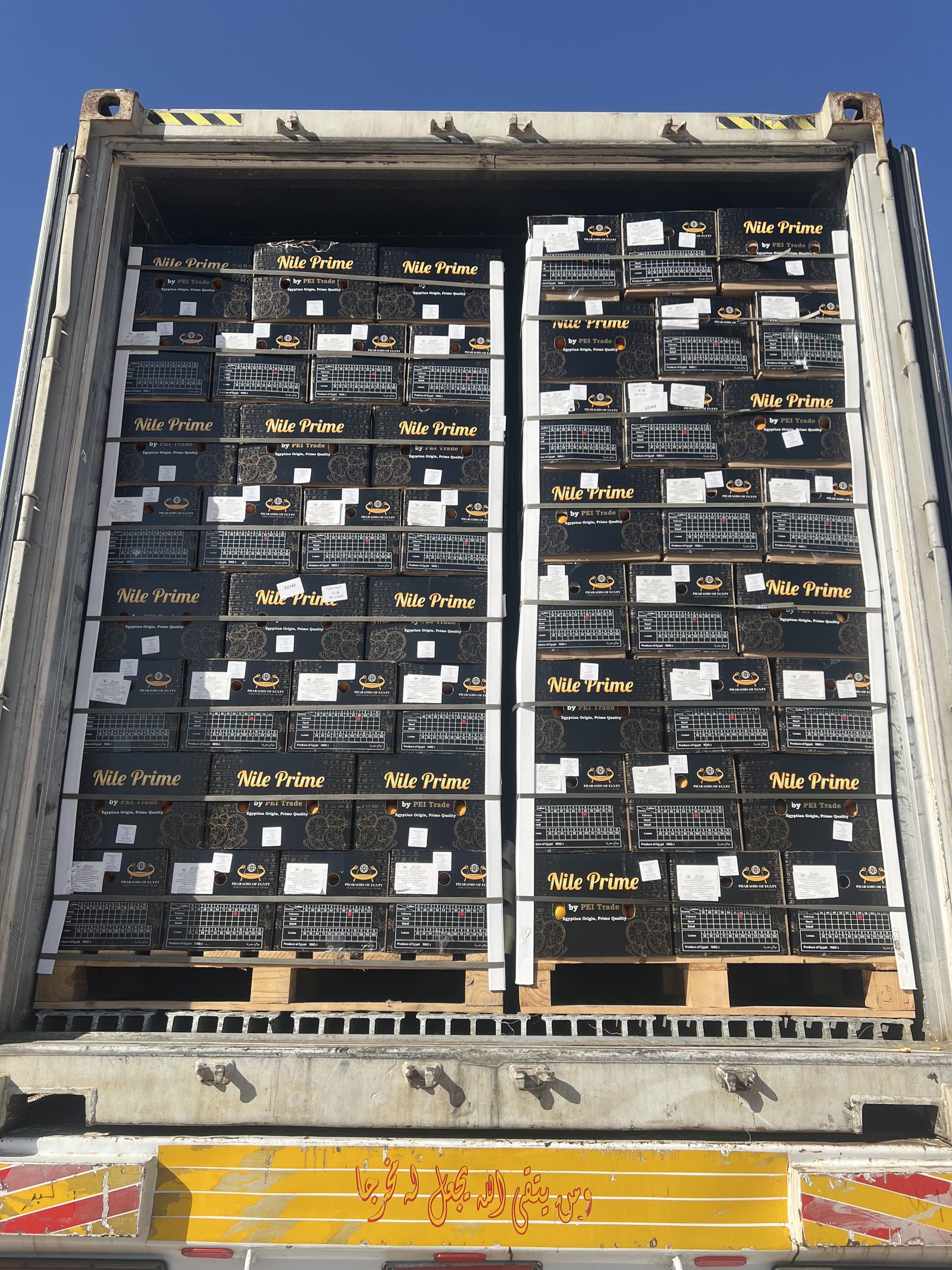 Cartons loaded into a refrigerated container in Egypt for a second Egyptian order after a trial part-load