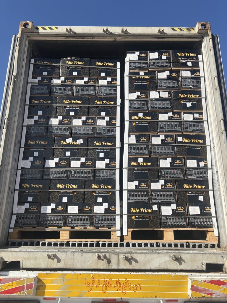 Egyptian orange cartons being loaded into a reefer container for a winter mixed citrus and onion shipment