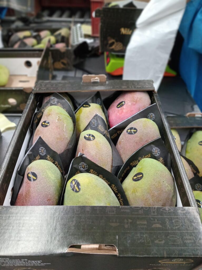 Egyptian mangoes in black protective sleeves inside an export carton