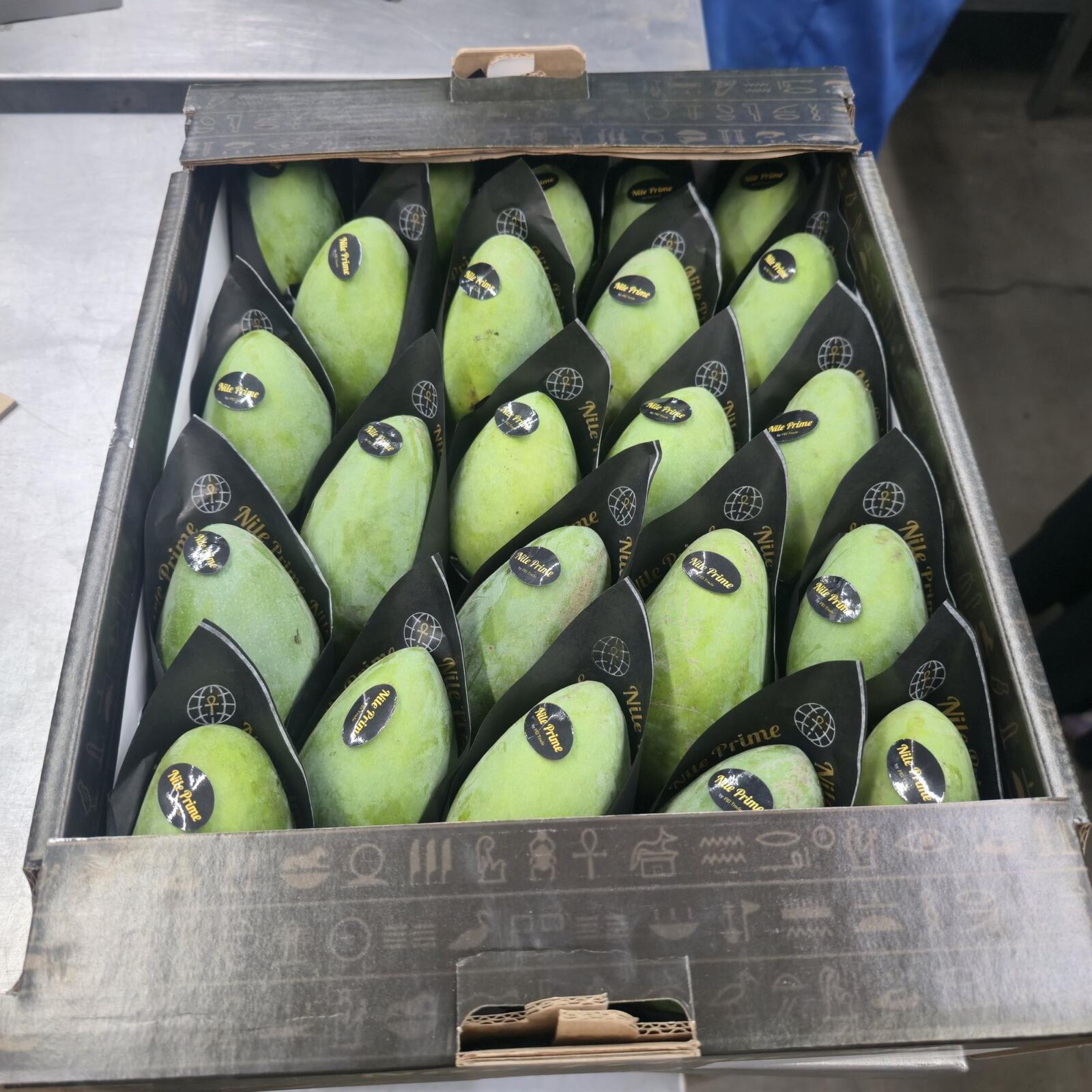 Full carton of bright green Egyptian mangoes in protective sleeves, top view