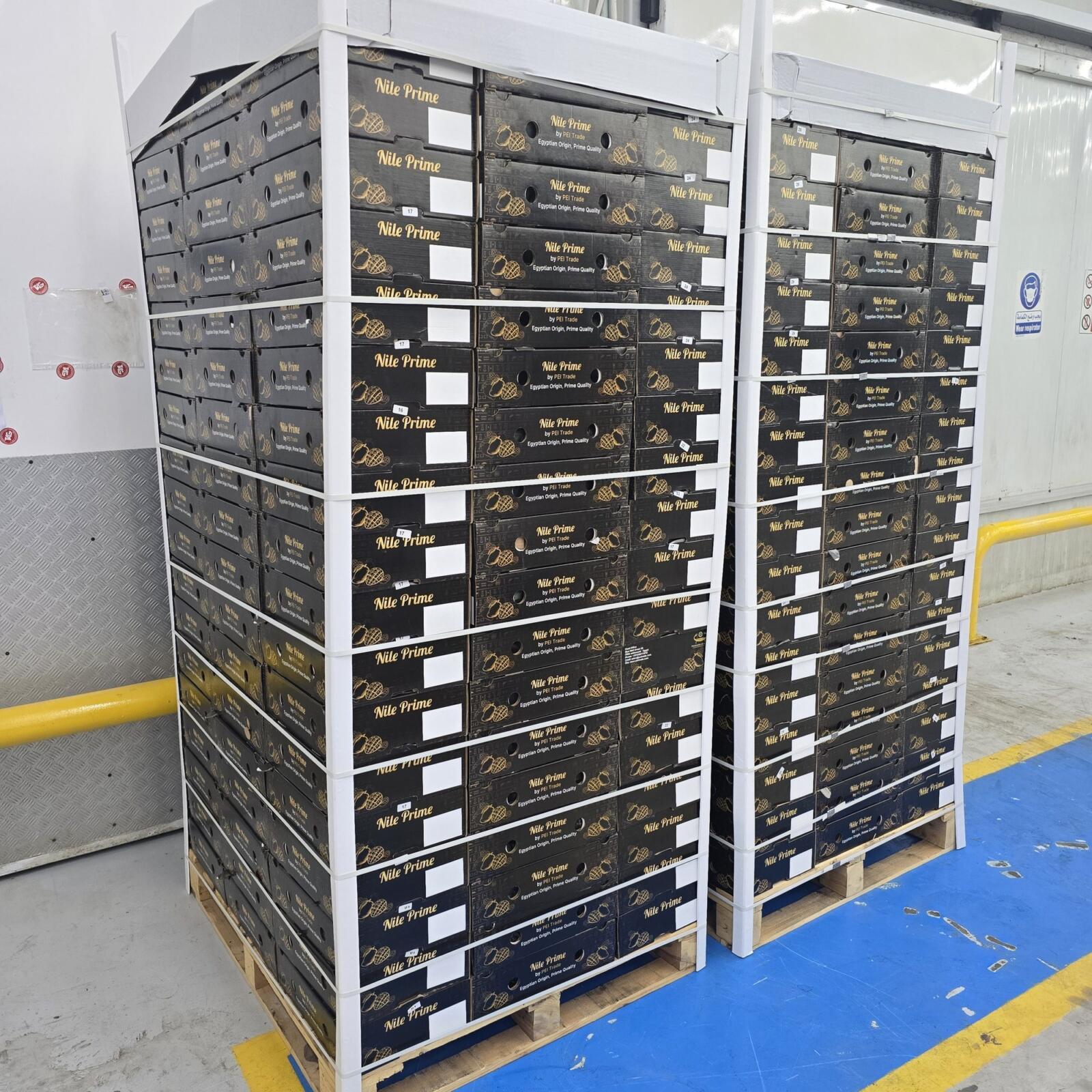 Palletised export cartons stacked in a warehouse ready for cold storage