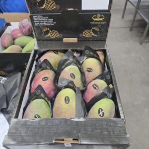 Open export carton of red-blush Egyptian mangoes showing the printed brand panel